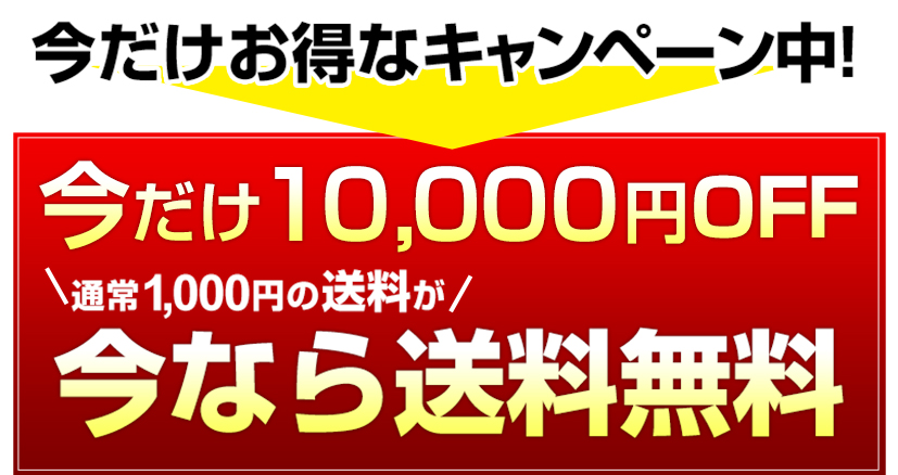 今だけお得なキャンペーン中!10月15日まで 5,000円OFF通常1000円の送料が 今なら送料無料