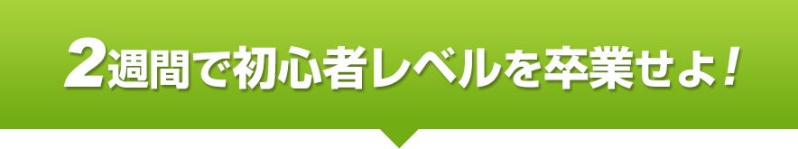 2週間で初心者レベルを卒業せよ！